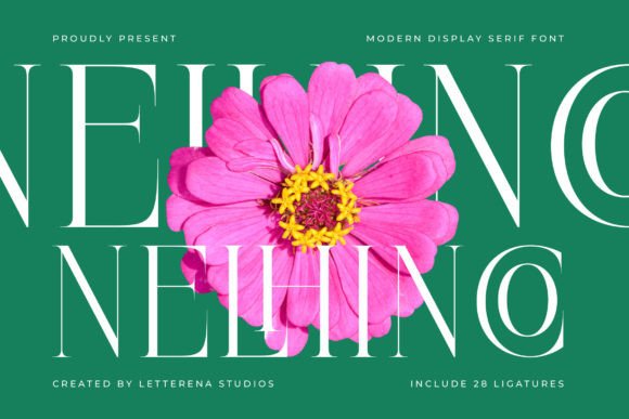 Nelhinco: A Modern Display Serif Typeface for Branding